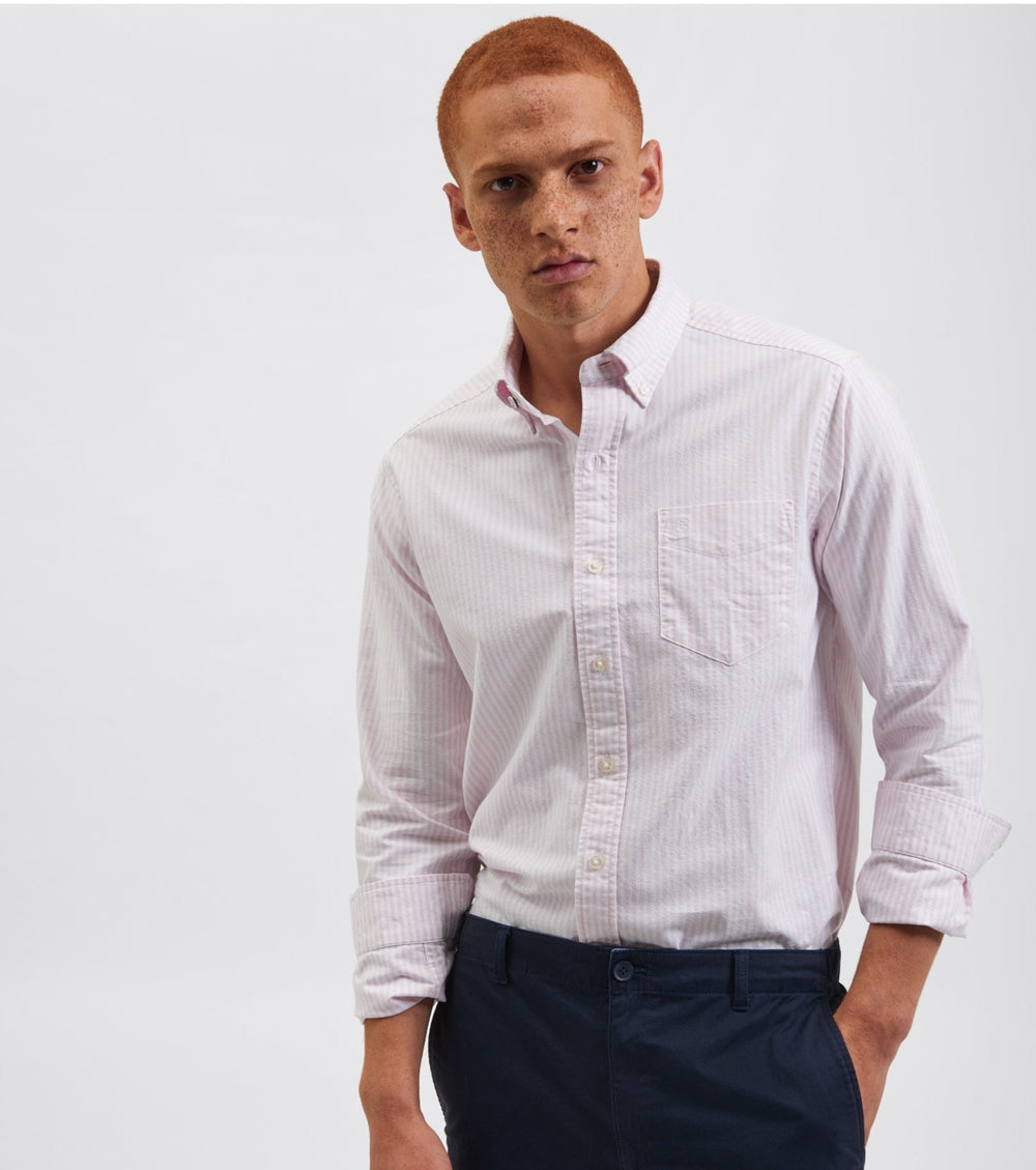 Chemises Ben Sherman Brighton Oxford Rose Stripes | 23971-VKLI